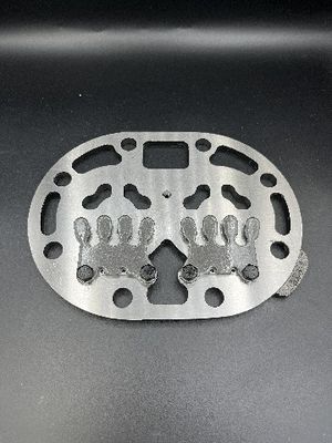 Các tấm van bất thường khác nhau cũng có thể được tùy chỉnh Compressor Valve Plate